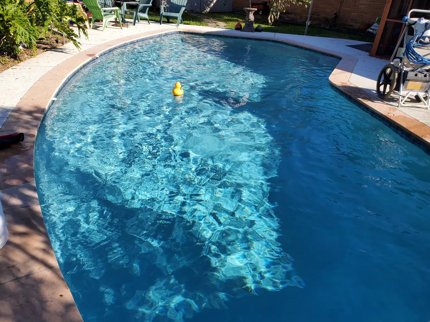 Before - Sparkling clean residential swimming pool with a rubber duck ready for summer in Houston TX